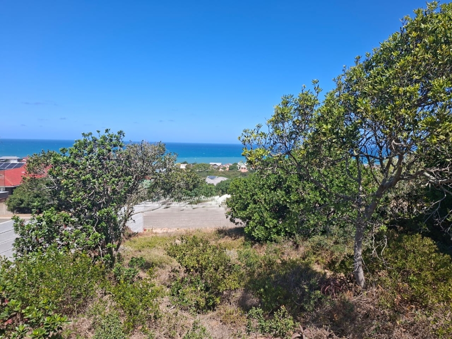 0 Bedroom Property for Sale in Tergniet Western Cape